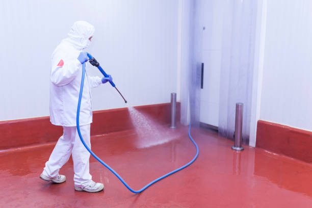 Pre-Holiday Cleaning in Cypress Quarters, FL