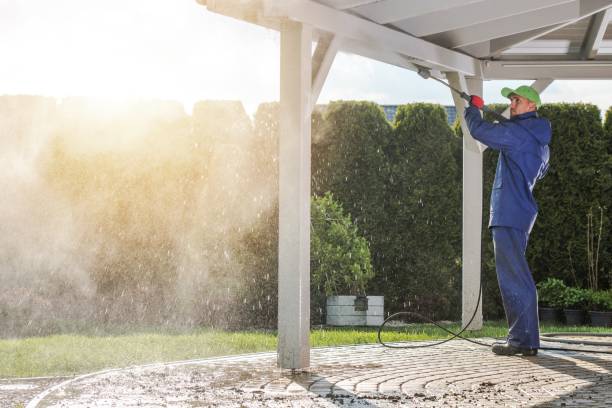 Best Dumpster Area Cleaning  in Cypress Quarters, FL