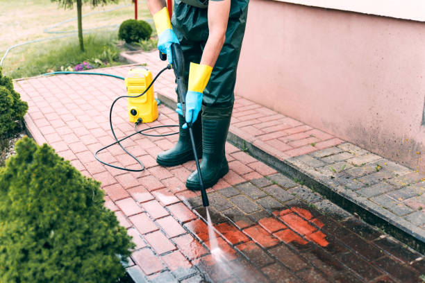 Animal Enclosure Cleaning in Cypress Quarters, FL