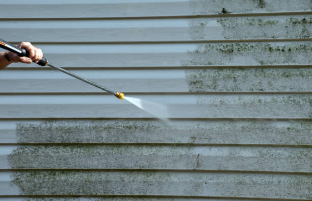 Best House Exterior Washing  in Cypress Quarters, FL