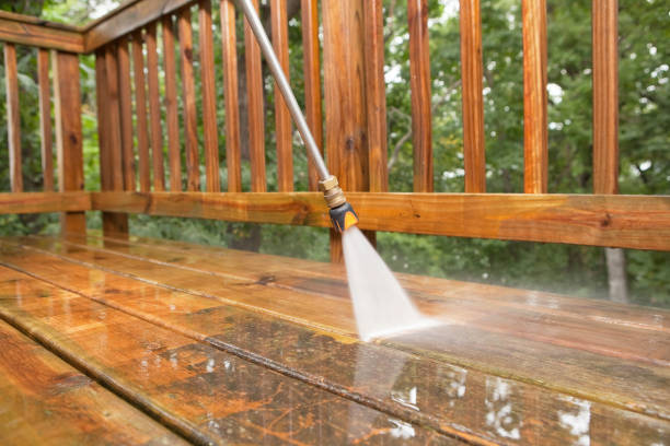 Best Roof Washing  in Cypress Quarters, FL
