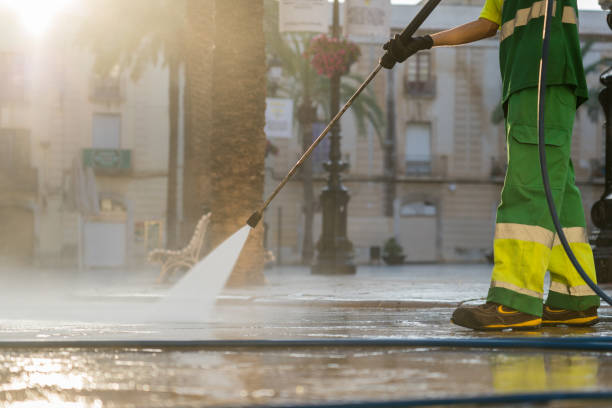 Best Solar Panel Cleaning  in Cypress Quarters, FL